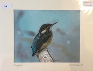 Michelle Hewitt 'Kingfisher'