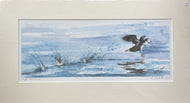 Paul Bartlett 'Puffin Touchdown'