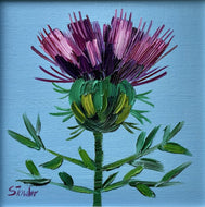 Sheila Fowler, 'Pretty Little Thistle'