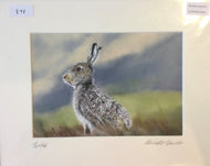 Michelle Hewitt 'Twitch'