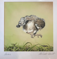 Michelle Hewitt 'Pounce'