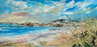 Mark Holden, North Beach Iona