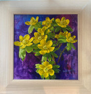 Alastair Macqueen 'Winter Aconites'