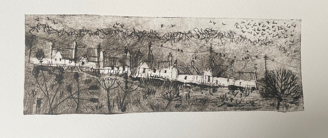 Deborah Phillips, Balmungo Murmuration