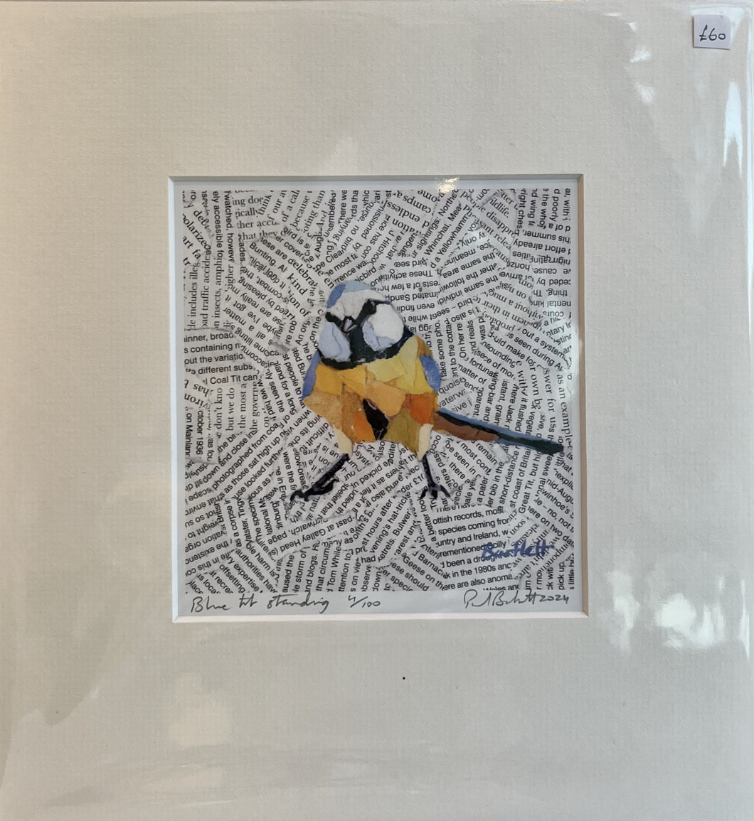 Paul Bartlett, 'Blue Tit Standing'