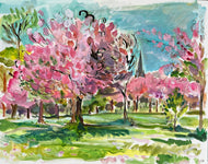 Clare Arbuthnott, 'Cherry Blossom, The Meadows Edinburgh'