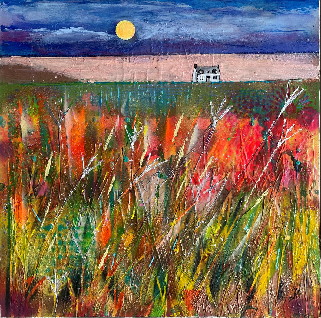 Claire Wills 'Edge of a Dream'