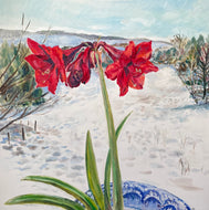 Clare Arbuthnott 'Amaryllis'