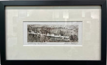 Deborah Phillips, Balmungo Murmuration