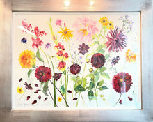 Jenny Matthews, 'Dahlias'