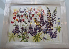 Jenny Matthews, 'Lupins'