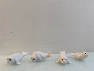 Leonie Macmillan 'Little White Seals'