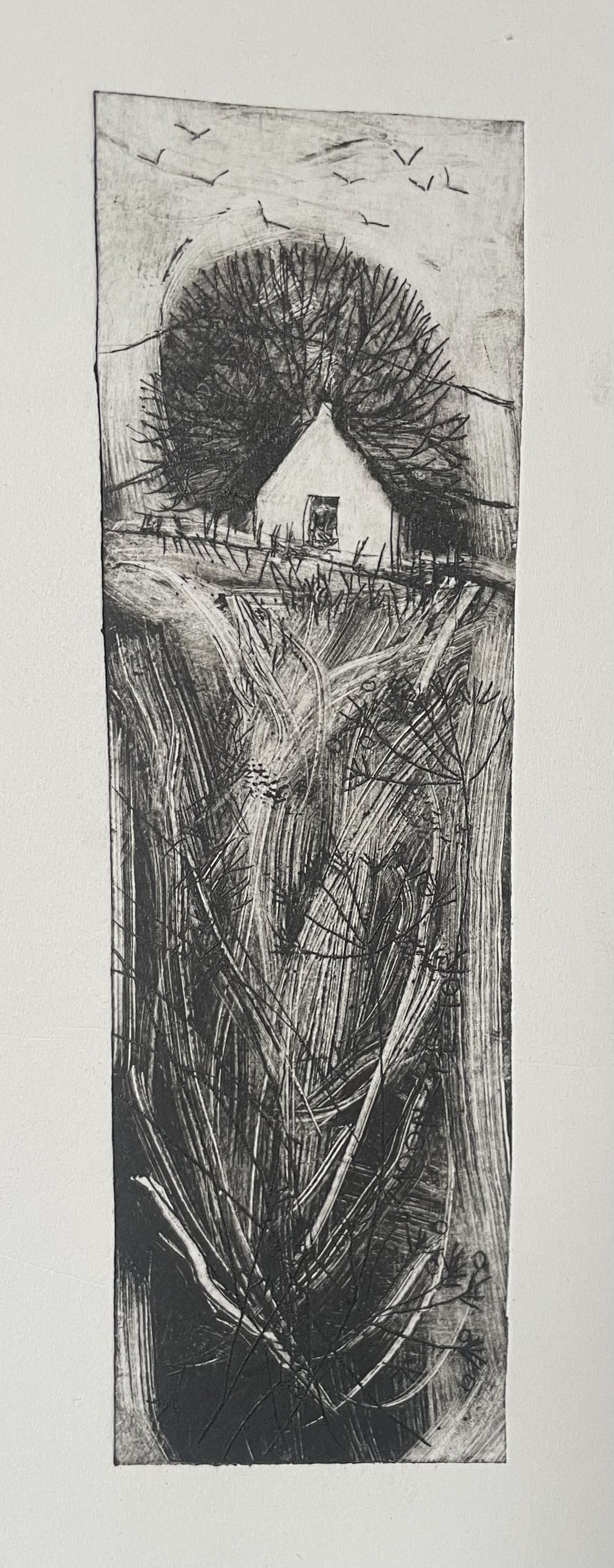 Deborah Phillips, 'Moonzie Tor'