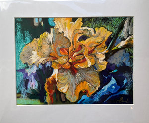 Oleksandra Zhumailova 'Yellow Iris'