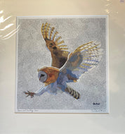 Paul Bartlett, 'Barn Owl Hunting'