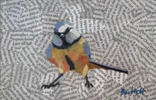 Paul Bartlett, 'Blue Tit'