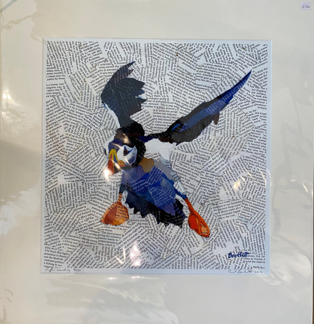 Paul Bartlett, 'Puffin Landing'