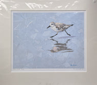 Paul Bartlett, 'Sand Trotter'