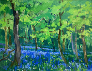 Penelope Anstice 'Bluebells, Kinclaven Wood'
