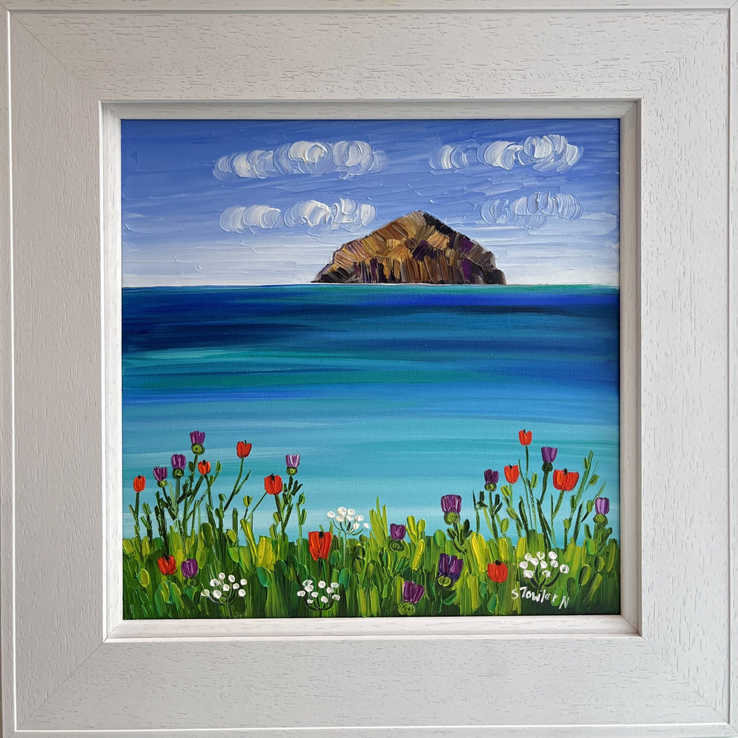 Sheila Fowler 'Ailsa Craig and Arran Wildflowers'