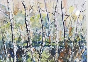 Mark Holden 'Through the Birch Trees'