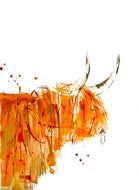 Lisa Fenton 'Robbie Highland Cow' A3