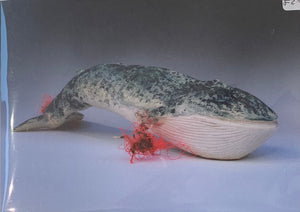 Leonie Siri MacMillan 'Blue Whale in Plastic' Card