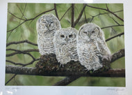 Michelle Hewitt 'Nice Hooters - Large'