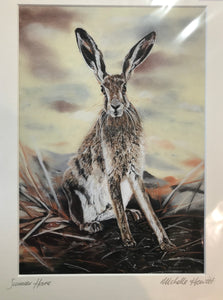 Michelle Hewitt 'Summer Hare'